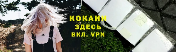 шишки Аркадак