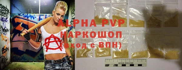 шишки Аркадак