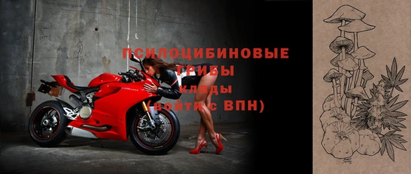 apvp Балахна