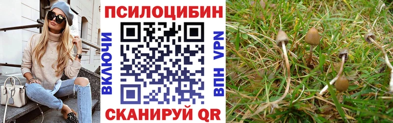 даркнет телеграм  Киреевск  Галлюциногенные грибы MAGIC MUSHROOMS 