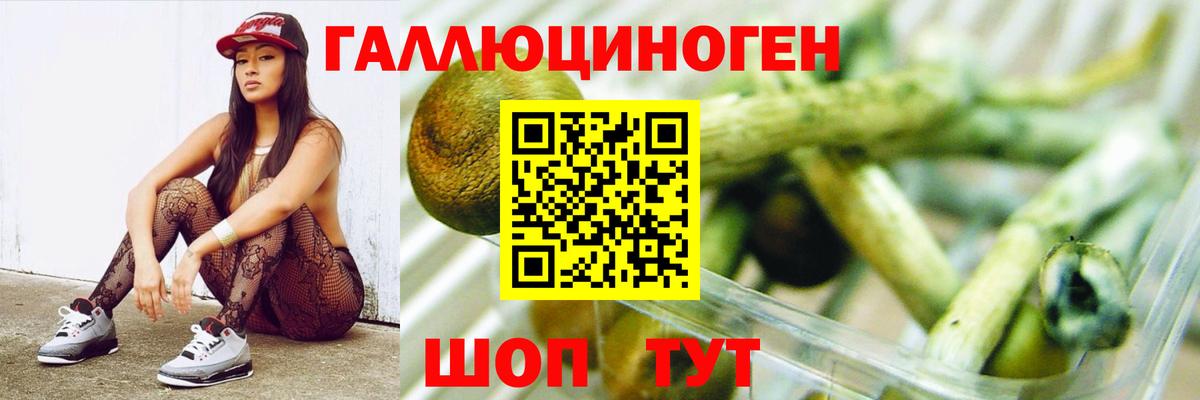 Галлюциногенные грибы Magic Shrooms  Вход с VPN  наркошоп  Киреевск 